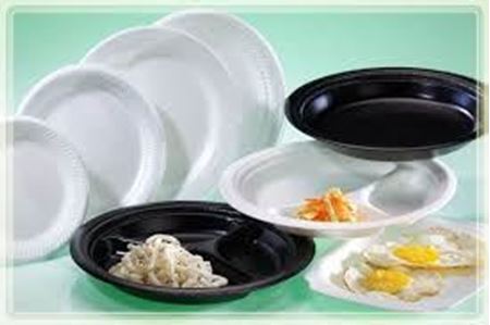 Styrofoam plates - R&C Enterprises Limited