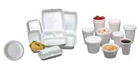 Double-Foam Food Containers by Plastifar PST12039
